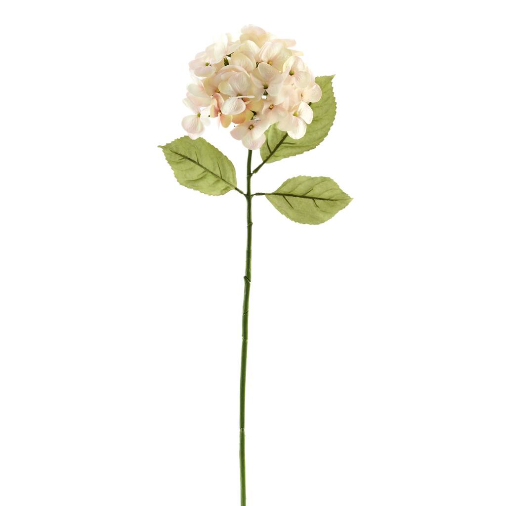 MP297061_1.jpg img